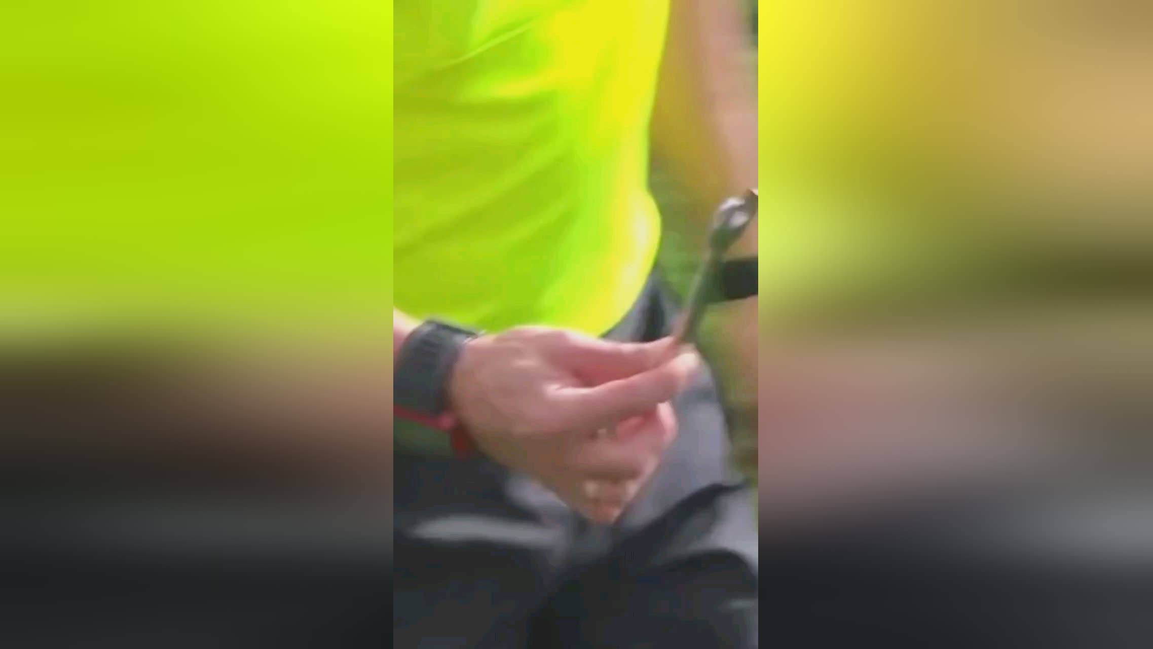 提供了新的